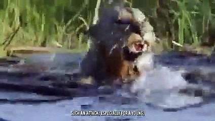 The King's fall And Death