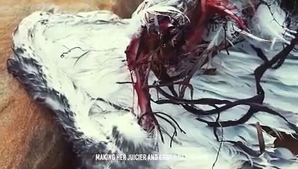 Horrible...This Bird Swallows Their Preys in Seconds