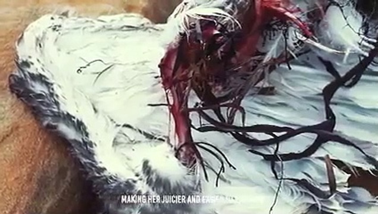 Horrible...This Bird Swallows Their Preys in Seconds