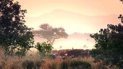 Worst Lion Hunt Fail Ever!