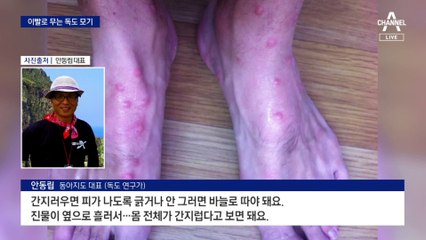 70년간 독도경비대 물어뜯은 ‘독도 신종 모기’