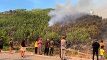 Antalya'da orman yangını! Alevler rüzgarın etkisiyle büyüdü, ekipler müdahale ediyor