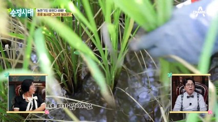 오늘의 주인공은 쌀 부자? 9천 평이 넘는 넓은 논을 혼자 관리한다는 그녀!