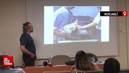 Sokak köpekleri için önerildi: Kısırlaştırma değil spiral uygulansın