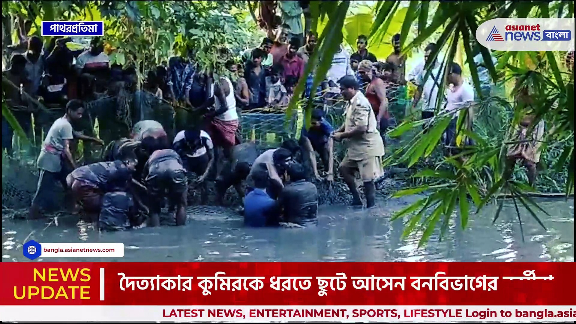 Crocodile : বাড়ির পুকুরে দৈত্যাকার কুমির! ছুটে আসল বনকর্মীরা, তারপর কি হল দেখুন