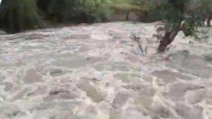 सिरोही: जिले में सबसे अधिक बरसात माउंट आबू में 137MM दर्ज, पोल टूटाने से 3 घंटे बिजली गुल