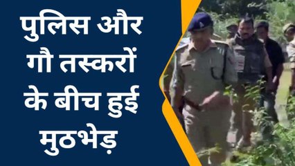 फतेहपर: पुलिस व गौ तस्करों के बीच मुठभेड़, एक तस्कर के पैर में लगी गोली