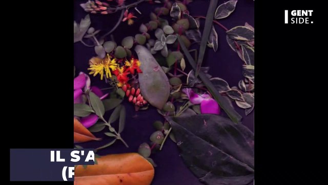 Cette espèce a survécu à l'extinction des dinosaures... et nous survivra aussi