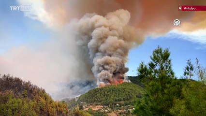 Bakan Yumaklı, Alanya'daki orman yangınını havadan inceledi