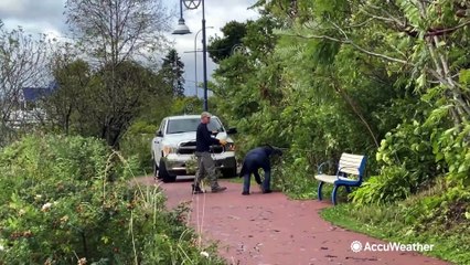 Life back to normal in aftermath of Hurricane Lee