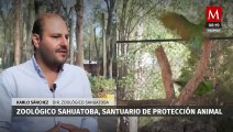 En Durango, el Zoológico Sahuatoba busca prevenir la extinción y tráfico ilegal de especies
