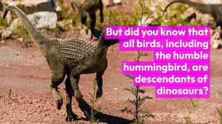 weird and unique facts you probably never knew before #14