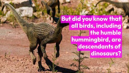 weird and unique facts you probably never knew before #14