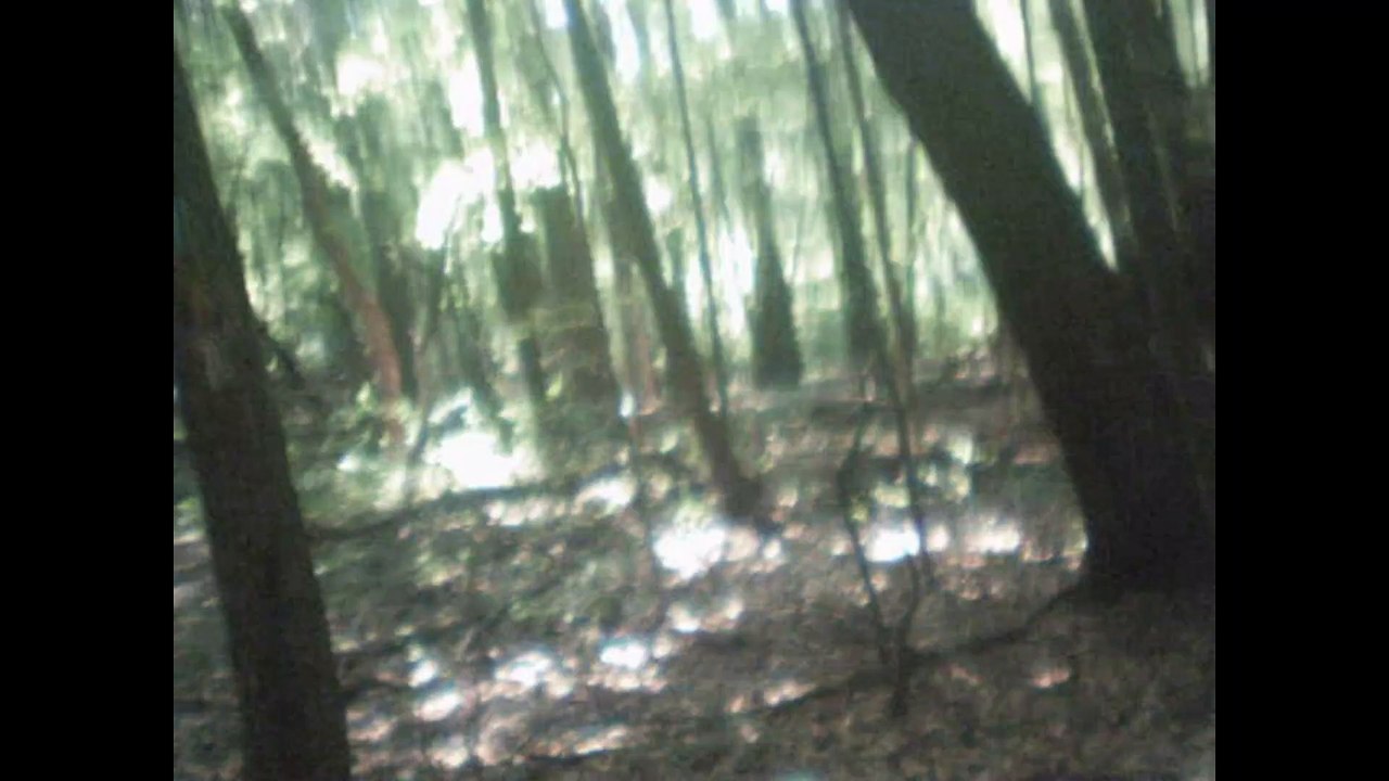 chief noonday trail part three
