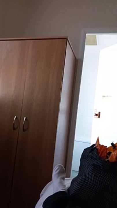 hotel birds