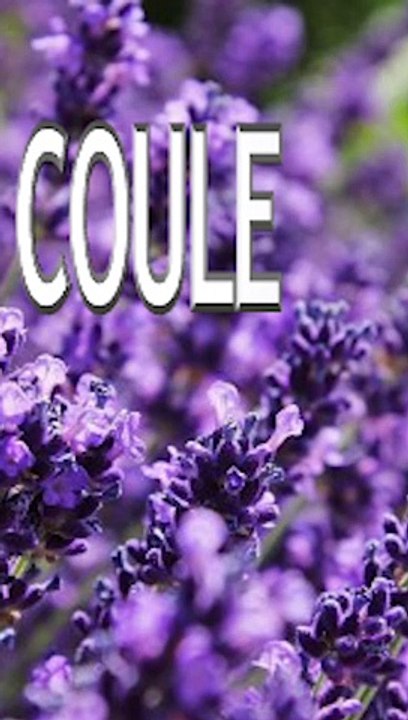 couleur lavande coiffeur coloriste aix-en-provence