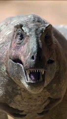 Trex Vs Dinosaur Prehistoric Animals