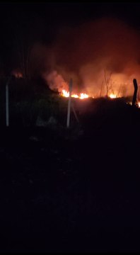 Bombeiros combatem incêndio ambiental de grandes proporções em Goioerê