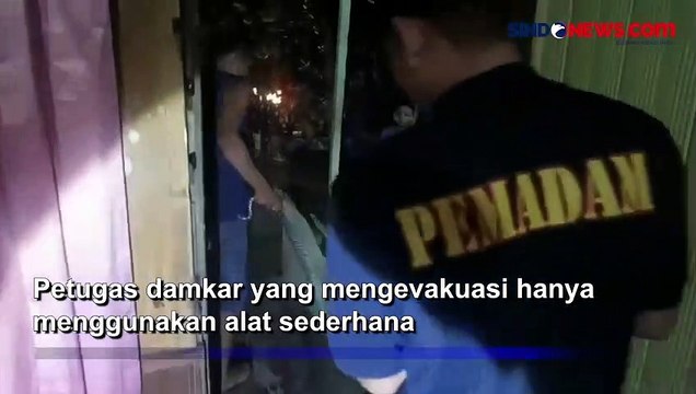 Evakuasi Ular Piton Sepanjang 2 Meter di Rumah Warga Berlangsung Dramatis