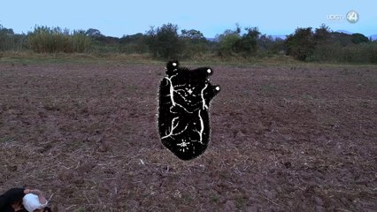 Desde una perspectiva ambiental, presentarán la obra ‘Dejar para semilla’ en Ajijic y Ciudad Guzmán