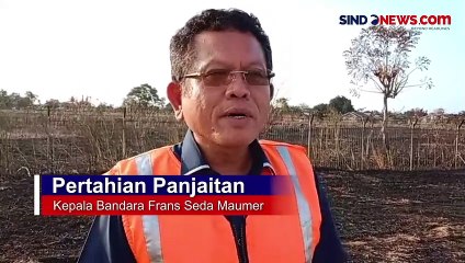 Kebakaran Lahan di Area Bandara Frans Seda Maumere, Api Merambat Cepat karena Angin Kencang