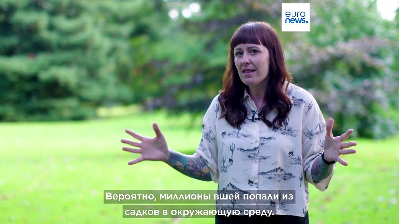 Морские вши, медузы и фитопланктон: лосося убив...
