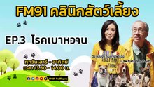 โรคเบาหวาน EP.3 : FM91 คลินิกสัตว์เลี้ยง : 24 กันยายน 2566