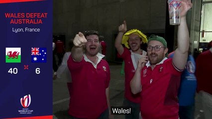 Скачать видео: Time to go, Eddie? Angry Aussies reflect on Wales walloping