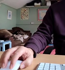 Puppy Is a Poor Employee