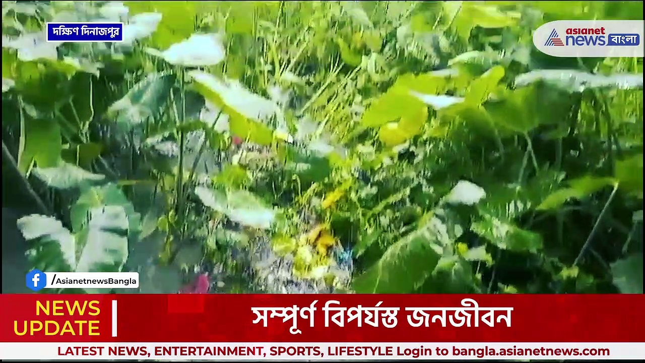 Dakshin Dinajpur Flood News : লাগাতার বৃষ্টি, ফের বন্যার আশঙ্কা দক্ষিণ দিনাজপুরে!