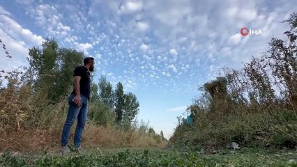 Yüksekova'da 'Sirrokümülüs bulutları' görsel şölen sundu