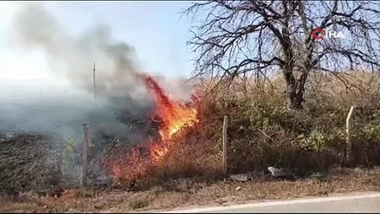 Gençlerin tehlikeli oyunu ormanı yakacaktı