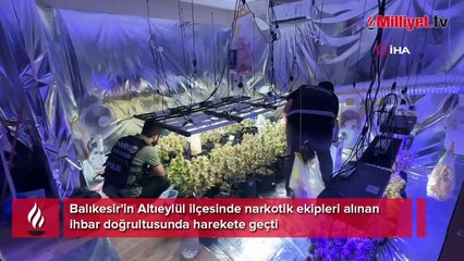Villa değil uyuşturucu serası! Ekipler şaşkına döndü
