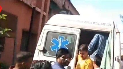 पीलीभीत: मासूम बच्चे पर टाइगर ने किया हमला, डॉक्टर ने जिला अस्पताल रेफर किया