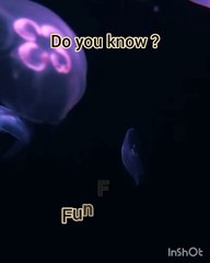 Long Term Relationship