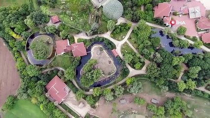 Bursa Zoopark'ta Zebra Ailesine 3 Yeni Yavru Katıldı