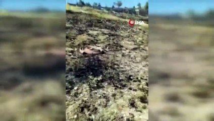 'Çocukluk hayalim' dediği fidanlar yanmasın diye hayatını kaybetti