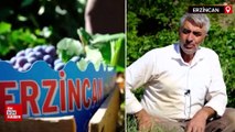 Erzincan'da tescilli Cimin üzümü hasadı sürüyor