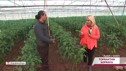 Topraktan Sofraya – Kolaj 2 | 24 Eylül 2023