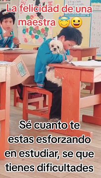 Profesora permite que su alumno asista a clase con su perrito: Te mereces lo mejor