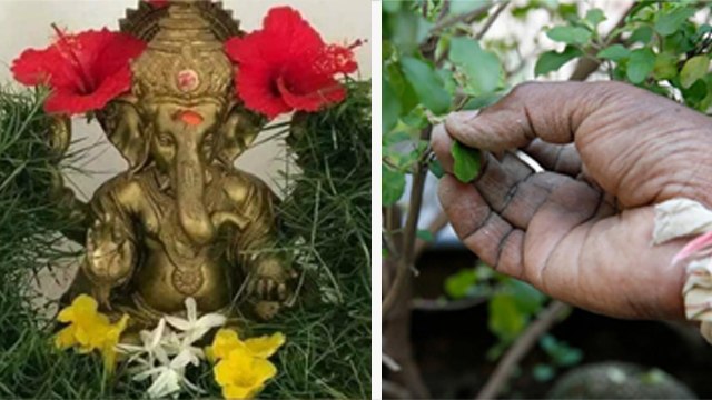 Ganesh Chaturthi 2023: गणेश चतुर्थी के दिन क्या करना चाहिए क्या नहीं | Boldsky