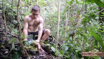 Primitive Technology- Bow and Arrow