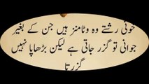 Quotes | Top 10 iconic quotes | 15 inspirational Yoda quotes | 15 Sufi quote in urdu | daily positiv