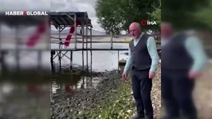 Vatandaşları kaygılandıran olay! Çıldır Gölü yeşile büründü