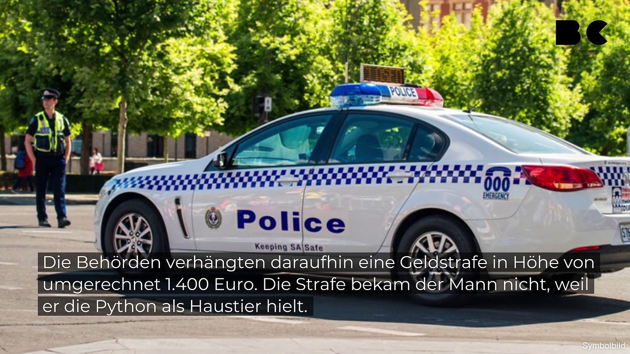 Mann surft mit python und zahlt 1.400 euro strafe