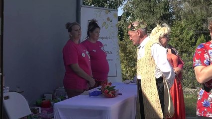 Pyrlandia - czyli święto ziemniaka w północnej Wielkopolsce!