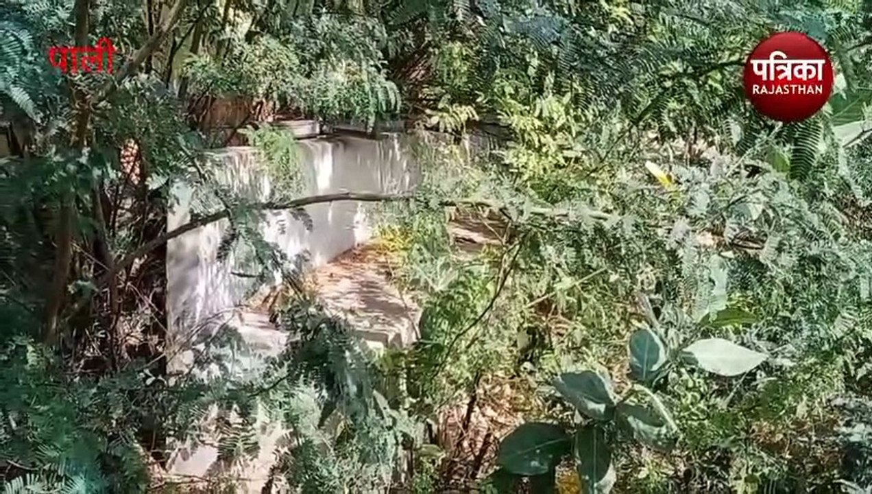 Watch Video : सागर के पास भी प्यासे, यहां मटकी में पानी लाने की मजबूरी