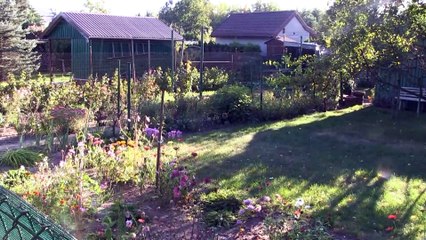 Dożynki działkowców w Łukowie