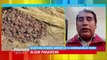 Desastre en Oruro: La sequía golpea a 745 comunidades de 29 municipios