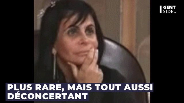 Des scientifiques ont percé le mystère du jamais-vu, le contraire du déjà-vu